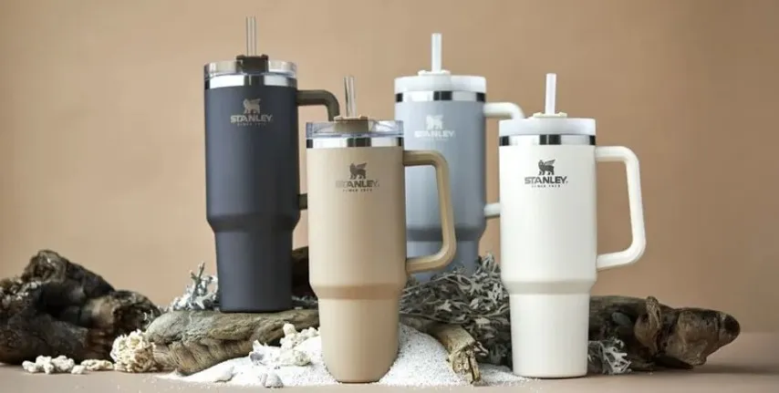 Stanley Tumblers Affordable